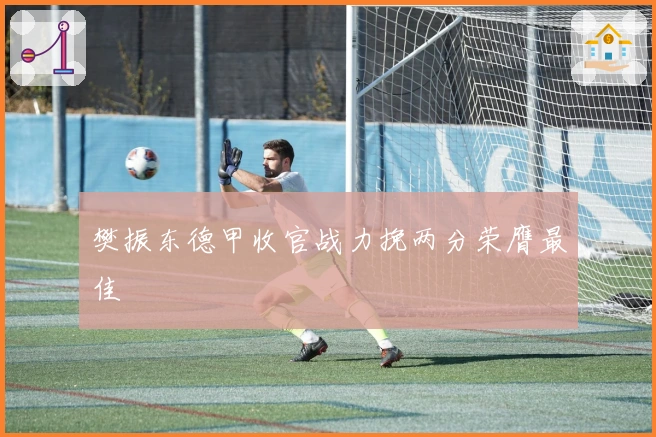 樊振东德甲收官战力挽两分荣膺最佳