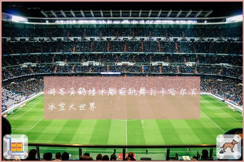 游客黄鹤楼冰雕前跳舞打卡哈尔滨冰雪大世界